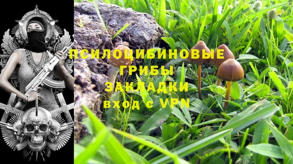 ECSTASY Бронницы