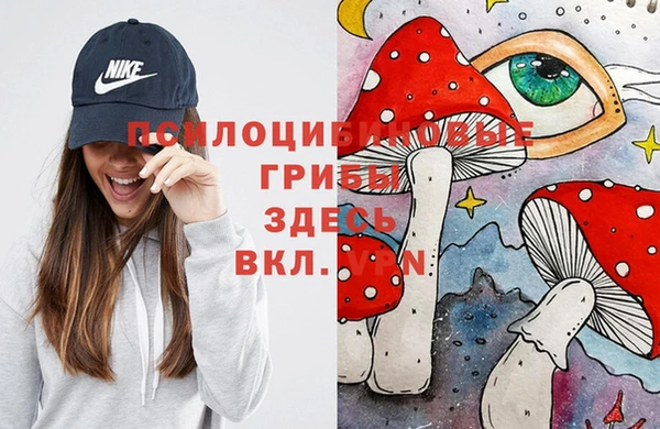 гашиш Бородино